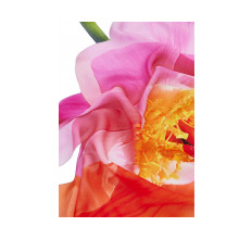 Снимка  на Дамски шал DESIGUAL 