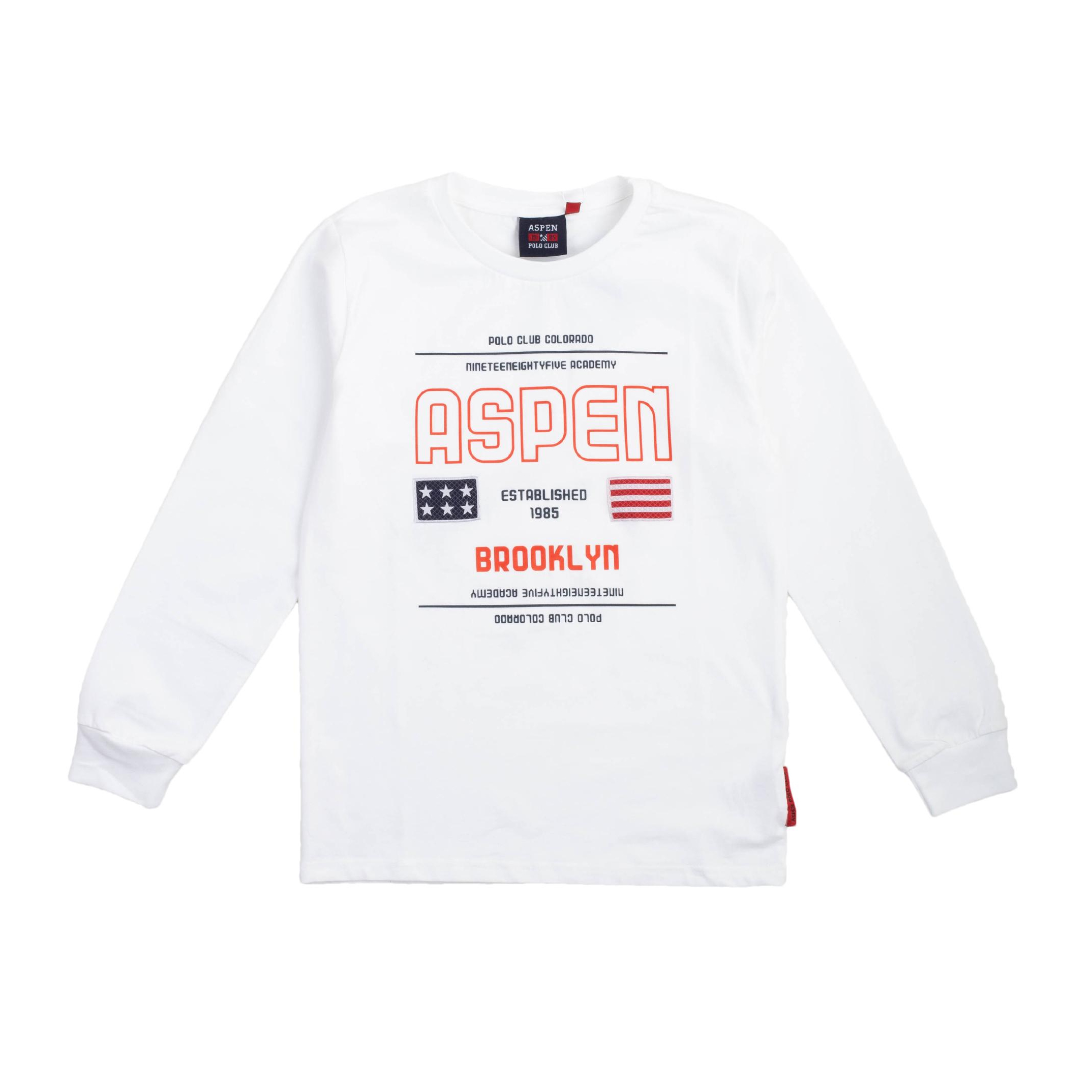 Снимка на Детска блуза момче ASPEN POLO CLUB