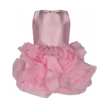 Снимка  на Детска рокля FUN&FUN 