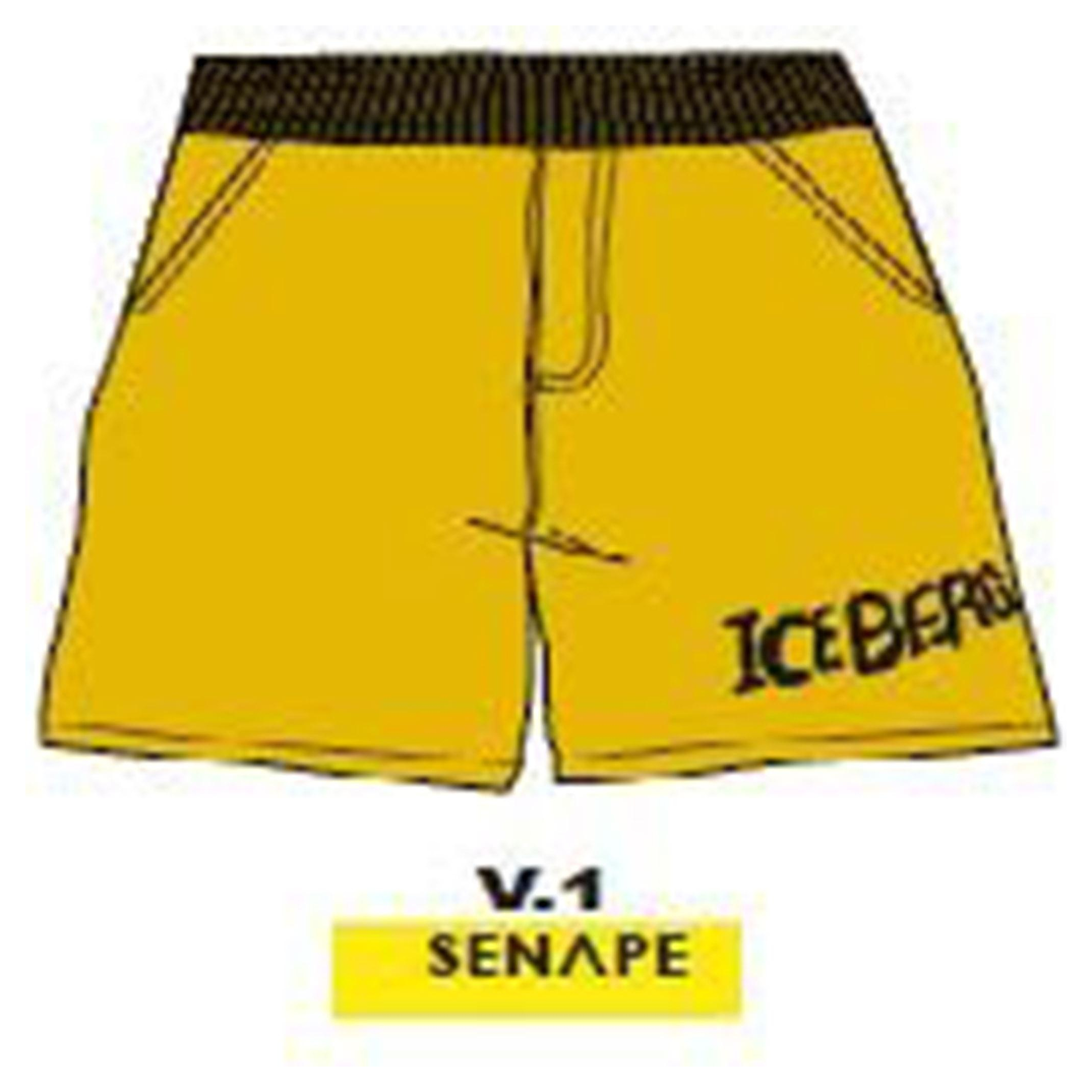 Снимка на Детски къси панталони за момче ICEBERG