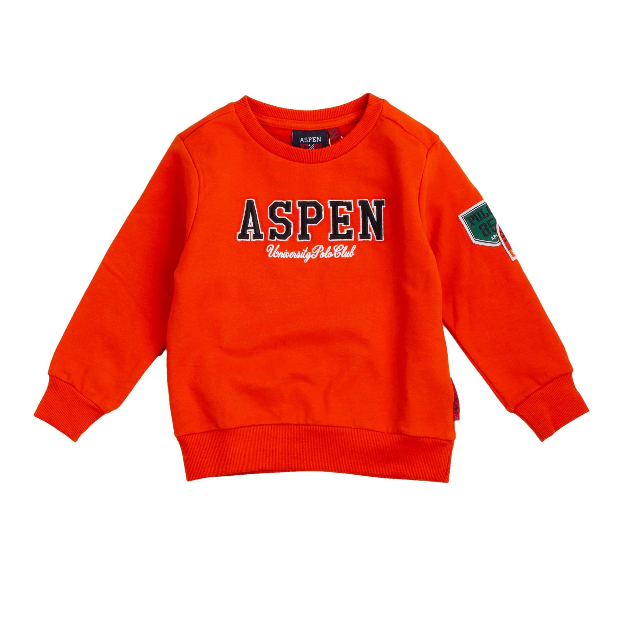 Снимка на Детски суичър момче ASPEN POLO CLUB