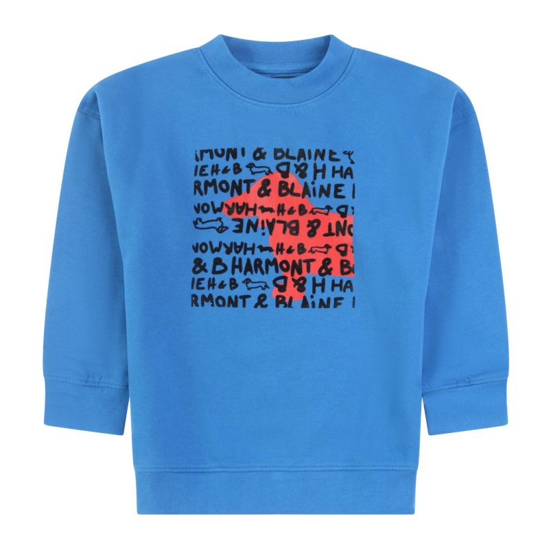Снимка на Детски суичър момче HARMONT&BLAINE