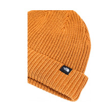 Снимка  на Мъжка шапка THE NORTH FACE 