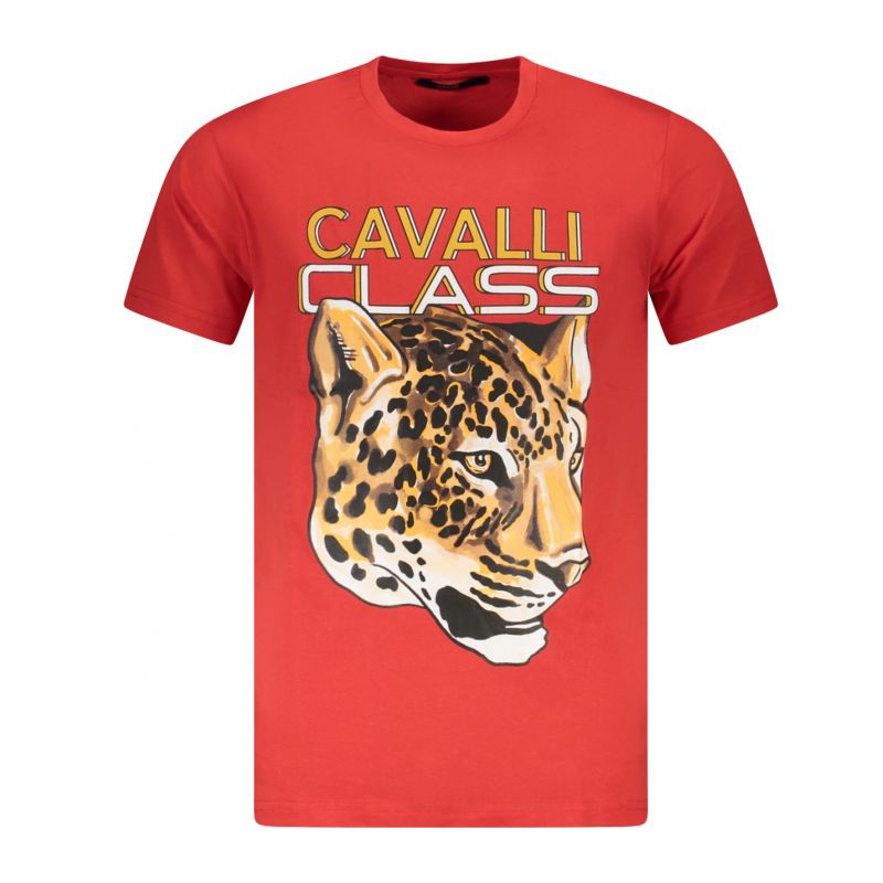 Снимка на Мъжка тениска CAVALLI CLASS 