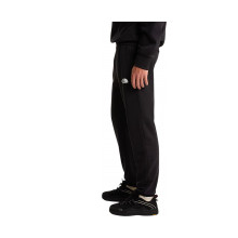 Снимка  на Мъжки панталон THE NORTH FACE 
