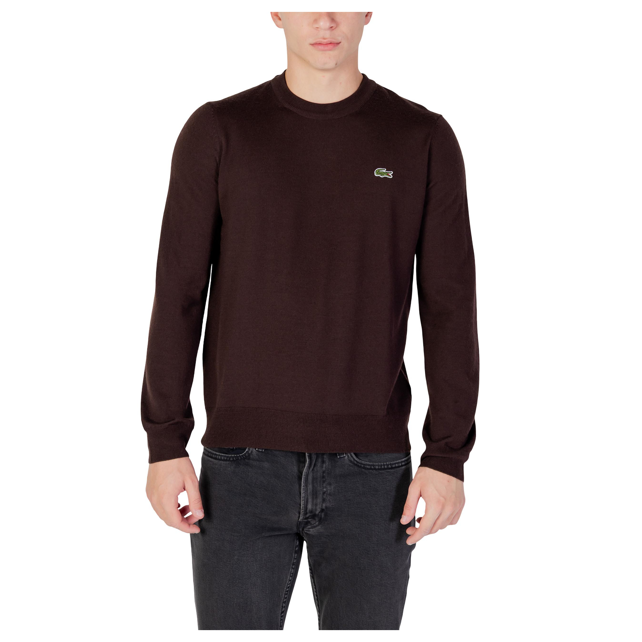 Снимка на Мъжки пуловер LACOSTE