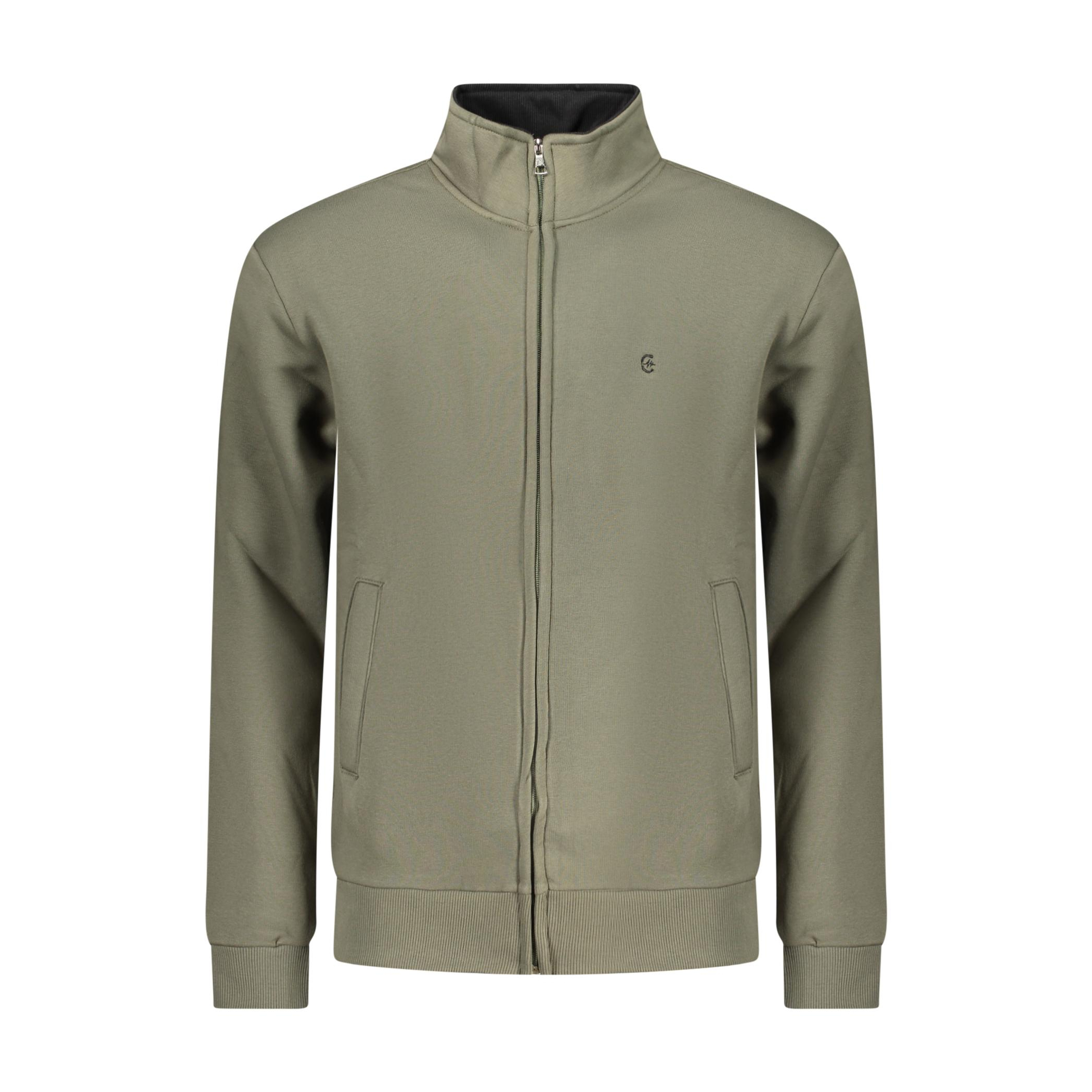 Снимка на Мъжки суитшърт с цип , зелен COVERI MOVING