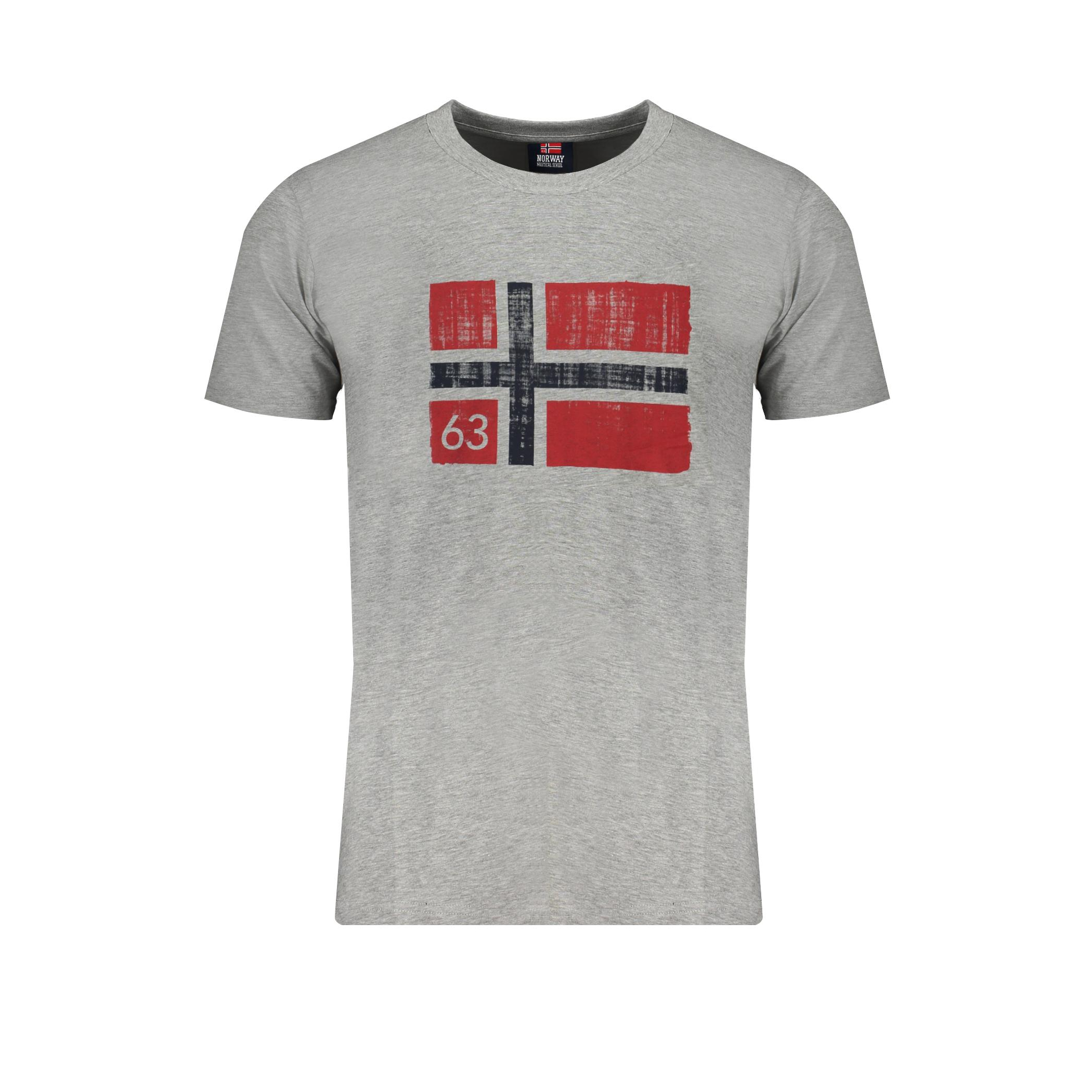 Снимка на Сива мъжка тениска с къс ръкав NORWAY 1963