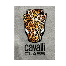 Снимка  на Суичър CAVALLI CLASS 
