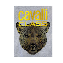 Снимка  на Суичър CAVALLI CLASS 