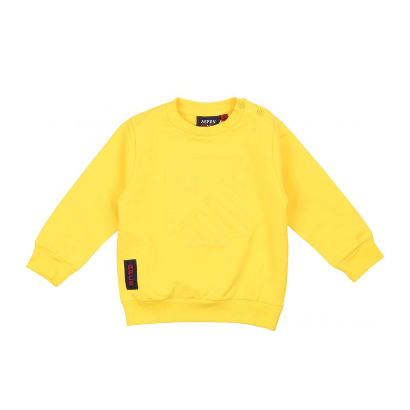 Детски суичър момче ASPEN POLO CLUB 1075F00001-YELLOW