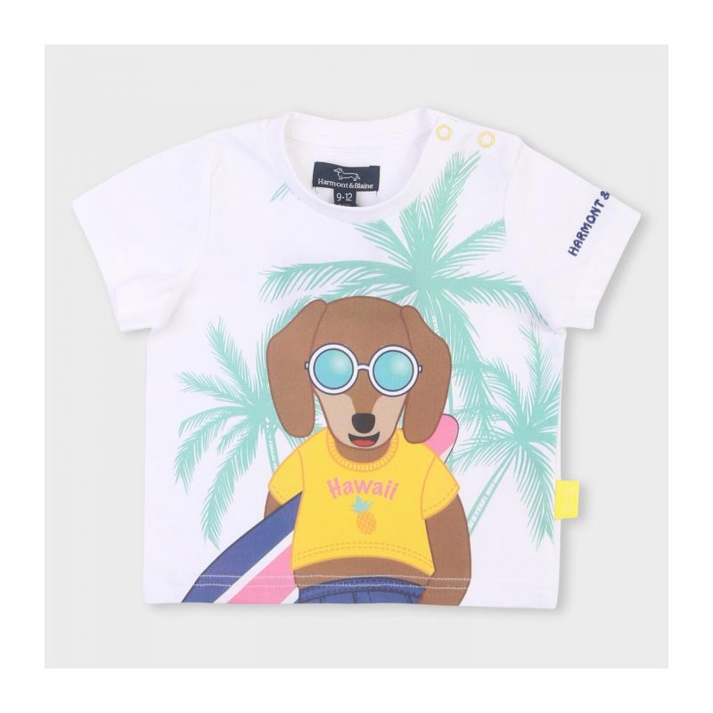 Тениска за момче HARMONT&BLAINE P23-harmont&blaine-212tjl002-1-1641152
